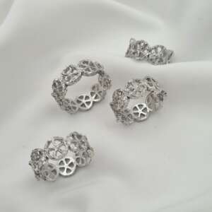 20251115_173621 (1) 20251115_173621 (1)