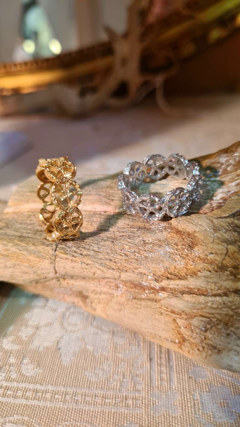 20251115_174135 (1) 20251115_174135 (1)