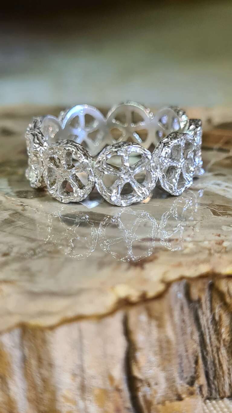 20260213_115440 20260213_115440