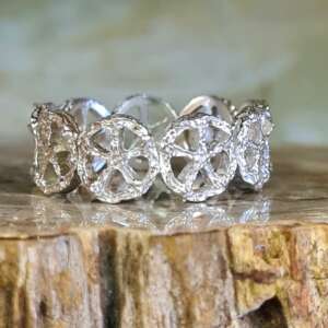 20260213_115536 20260213_115536