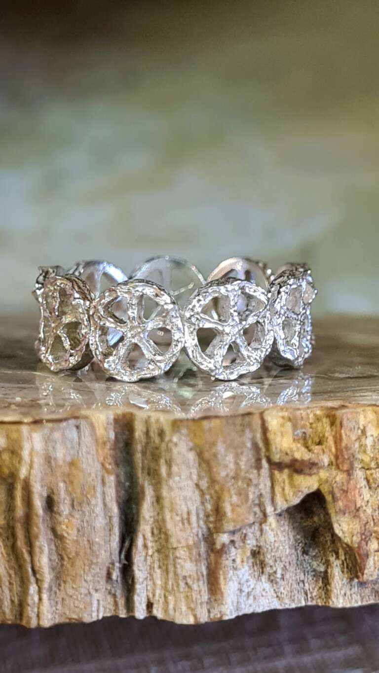 20260213_115536 20260213_115536