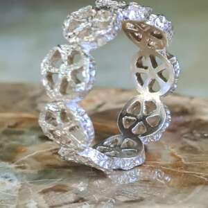 20260213_115604 20260213_115604