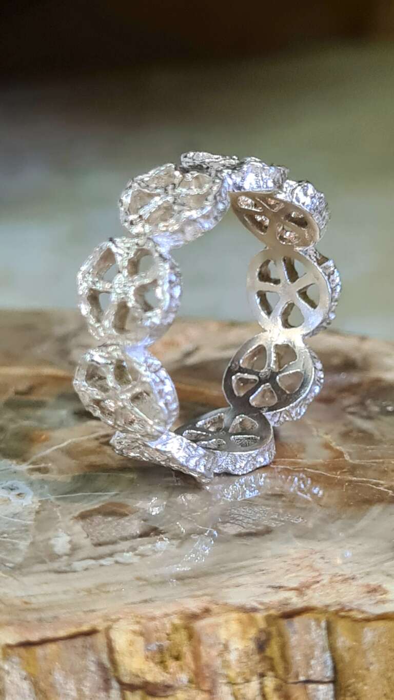 20260213_115604 20260213_115604