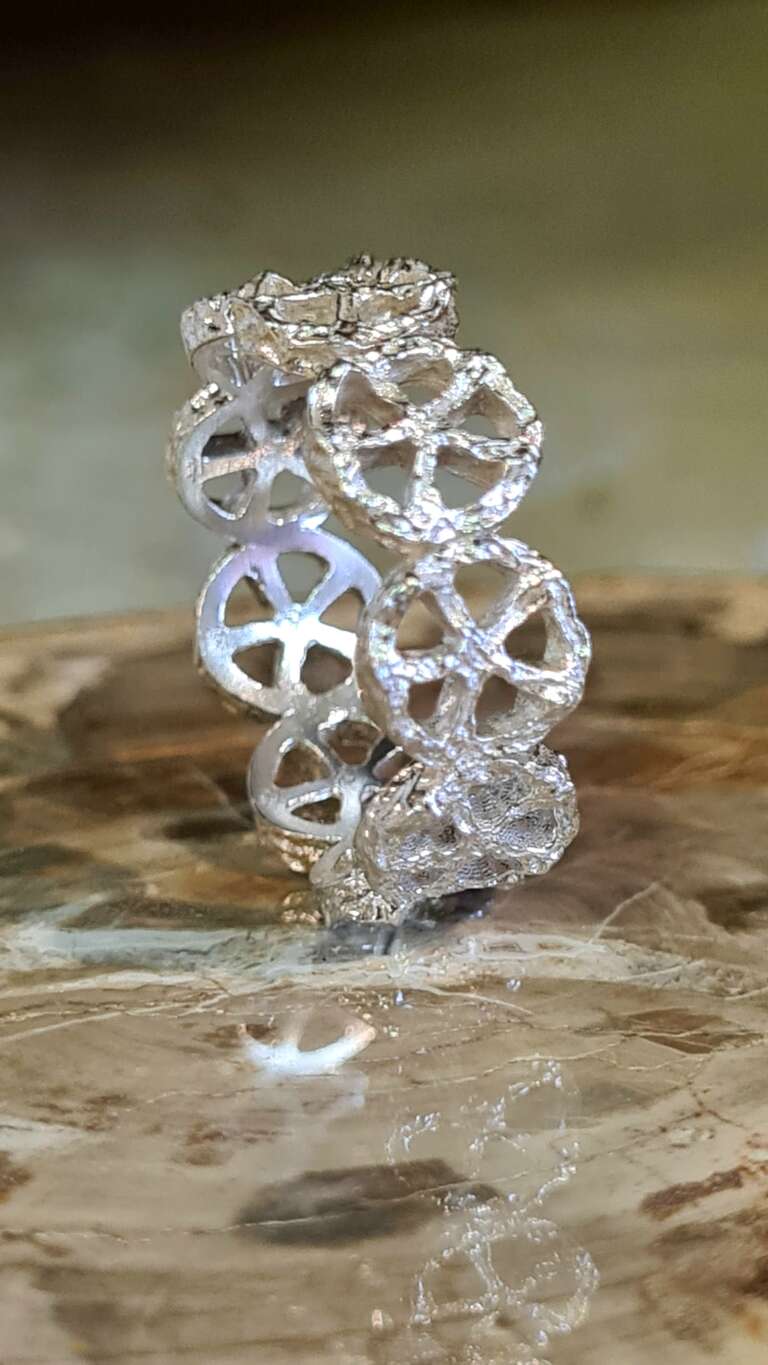 20260213_115629 20260213_115629