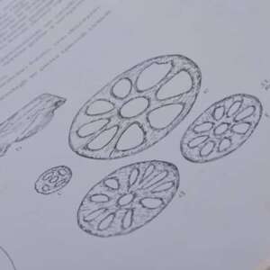 Testo del paragrafo – 2