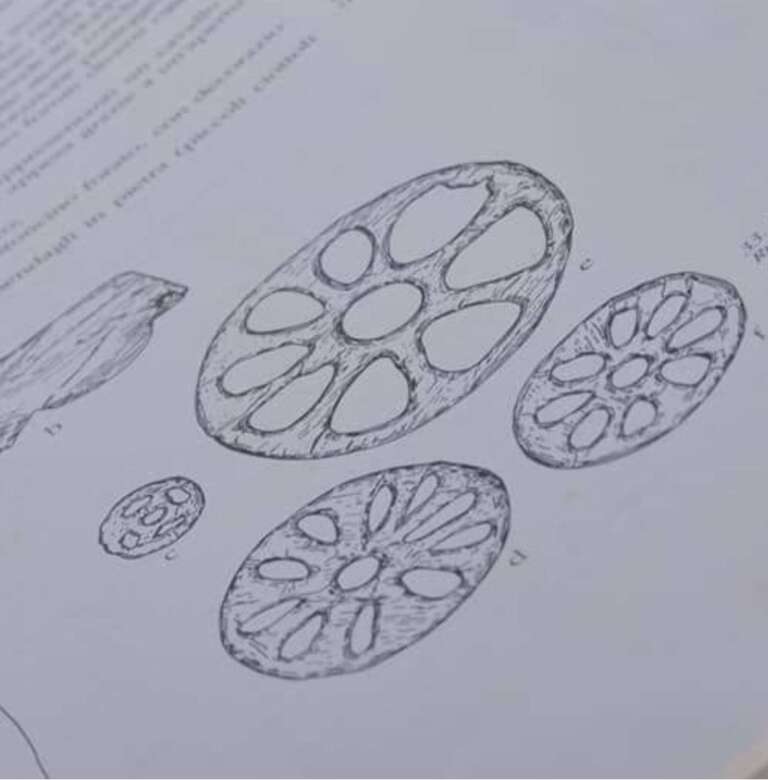 Testo del paragrafo – 2